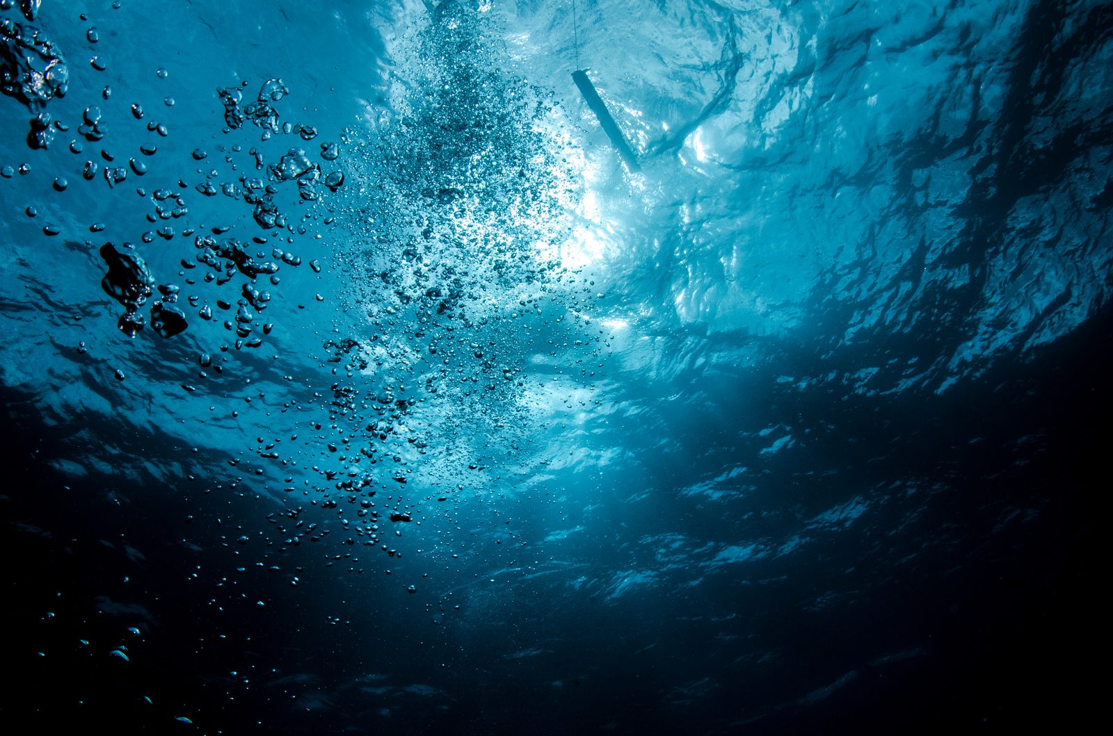 Underwater bubbles rising to the surface